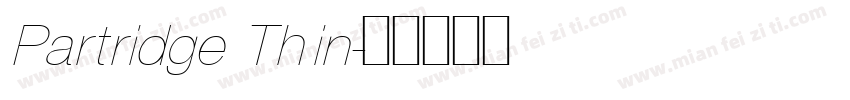 Partridge Thin字体转换